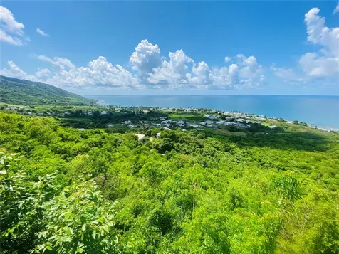 Farm Amazing Ocean View Patillas PR 00723