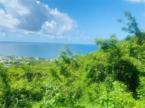 Farm Amazing Ocean View Patillas PR 00723