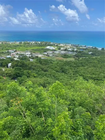 Farm Amazing Ocean View Patillas PR 00723