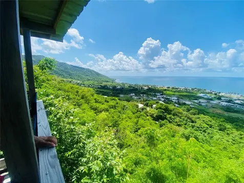 Farm Amazing Ocean View Patillas PR 00723