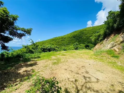 Farm Amazing Ocean View Patillas PR 00723