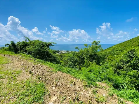 Farm Amazing Ocean View Patillas PR 00723