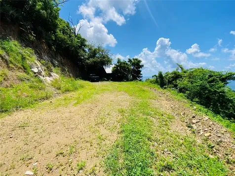 Farm Amazing Ocean View Patillas PR 00723