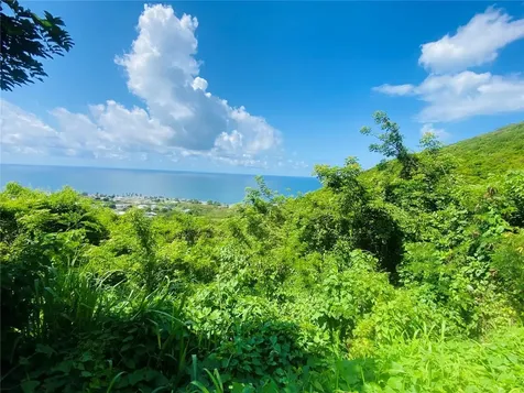 Farm Amazing Ocean View Patillas PR 00723