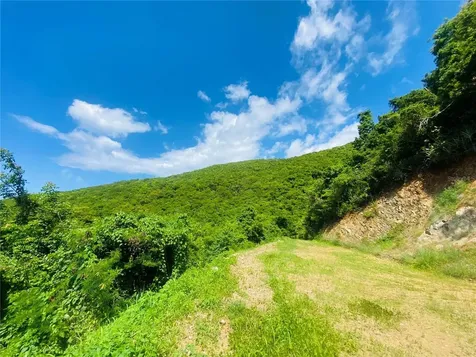 Farm Amazing Ocean View Patillas PR 00723