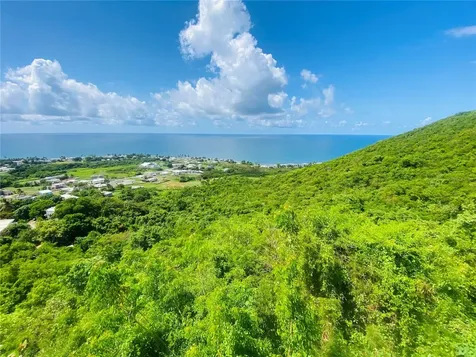 Farm Amazing Ocean View Patillas PR 00723