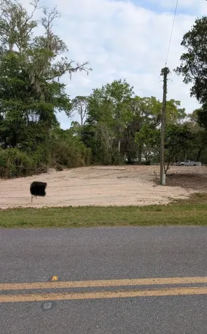 6621 Virginia Beach Lane Keystone Heights FL 32656