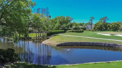 1043 Guisando De Avila Tampa FL 33613