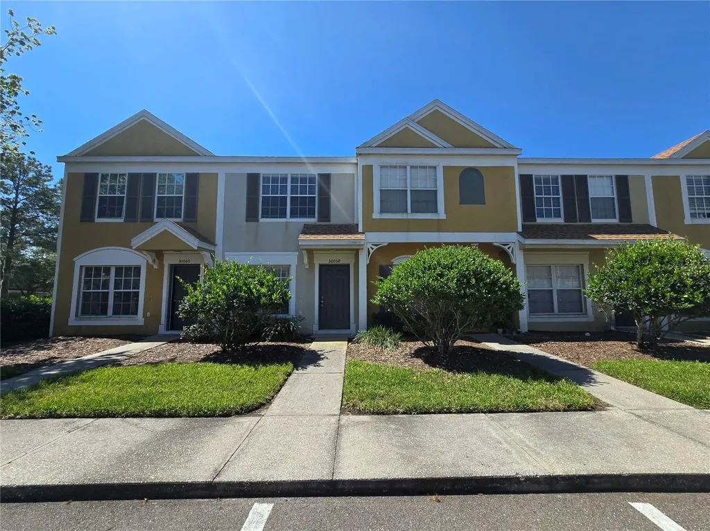 30058 Granda Hills Court Wesley Chapel FL 33543