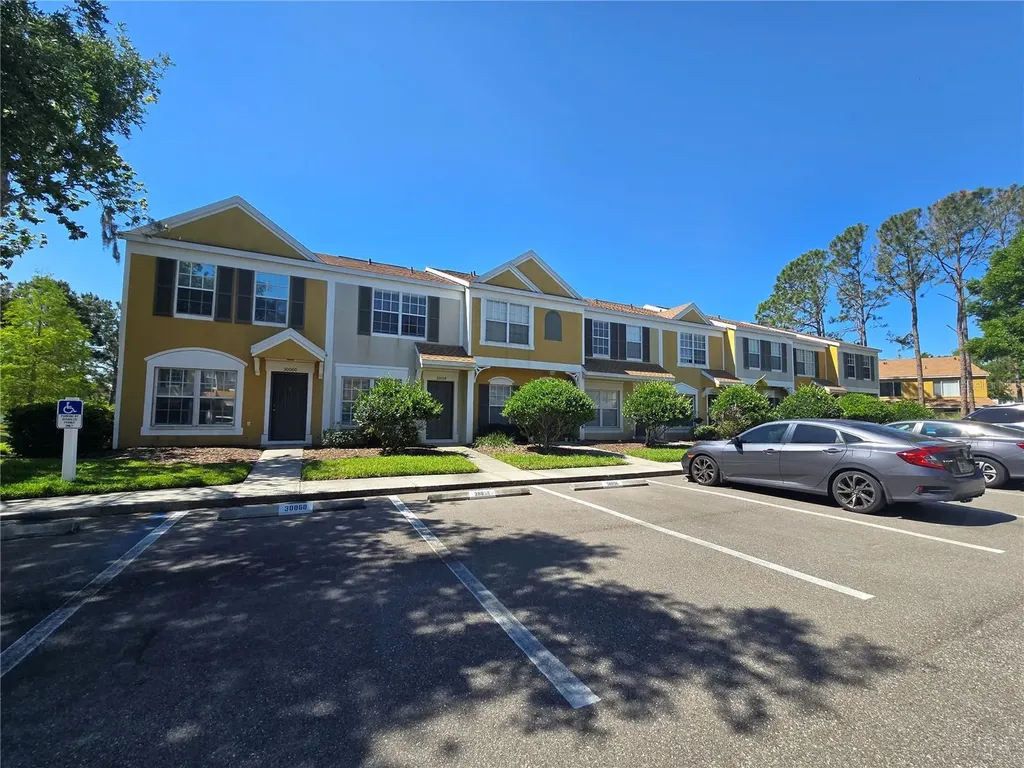 30058 Granda Hills Court Wesley Chapel FL 33543
