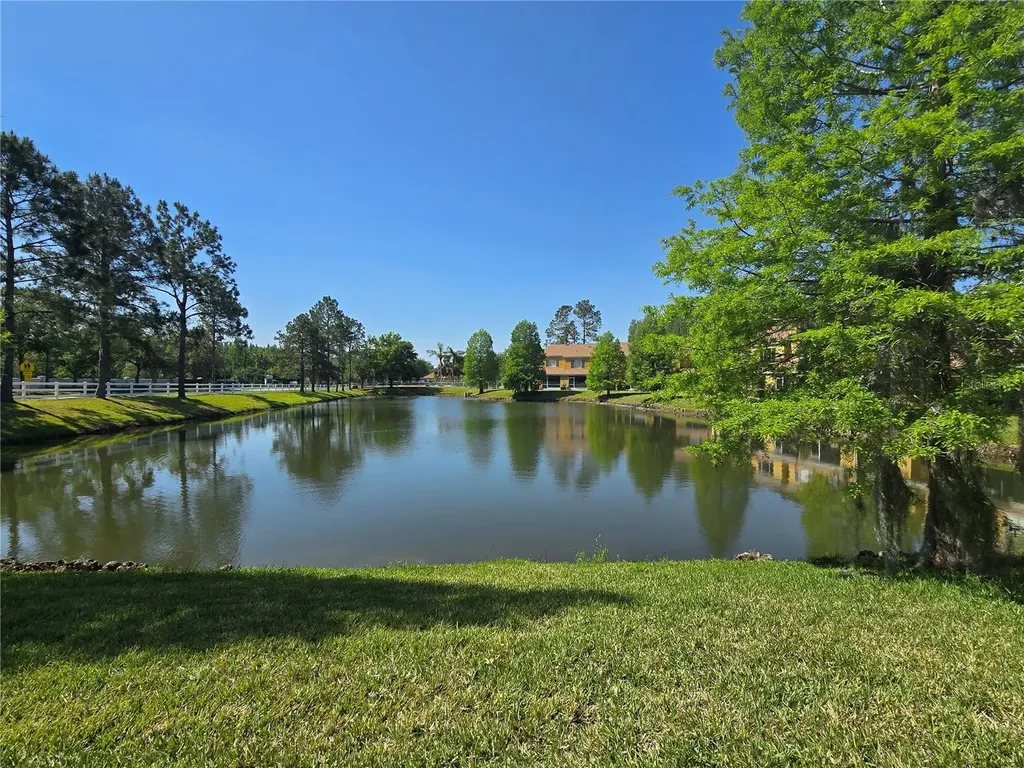 30058 Granda Hills Court Wesley Chapel FL 33543