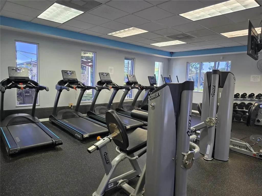 30058 Granda Hills Court Wesley Chapel FL 33543
