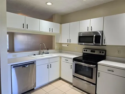 30058 Granda Hills Court Wesley Chapel FL 33543