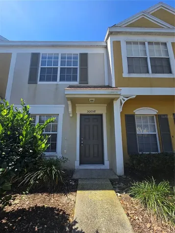 30058 Granda Hills Court Wesley Chapel FL 33543