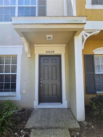 30058 Granda Hills Court Wesley Chapel FL 33543