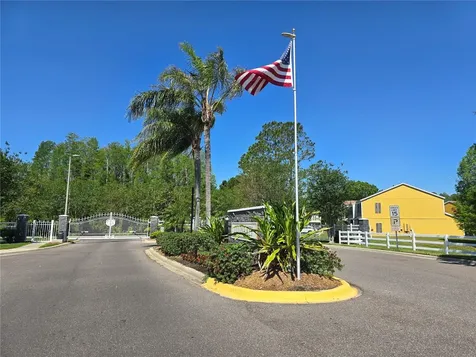 30058 Granda Hills Court Wesley Chapel FL 33543