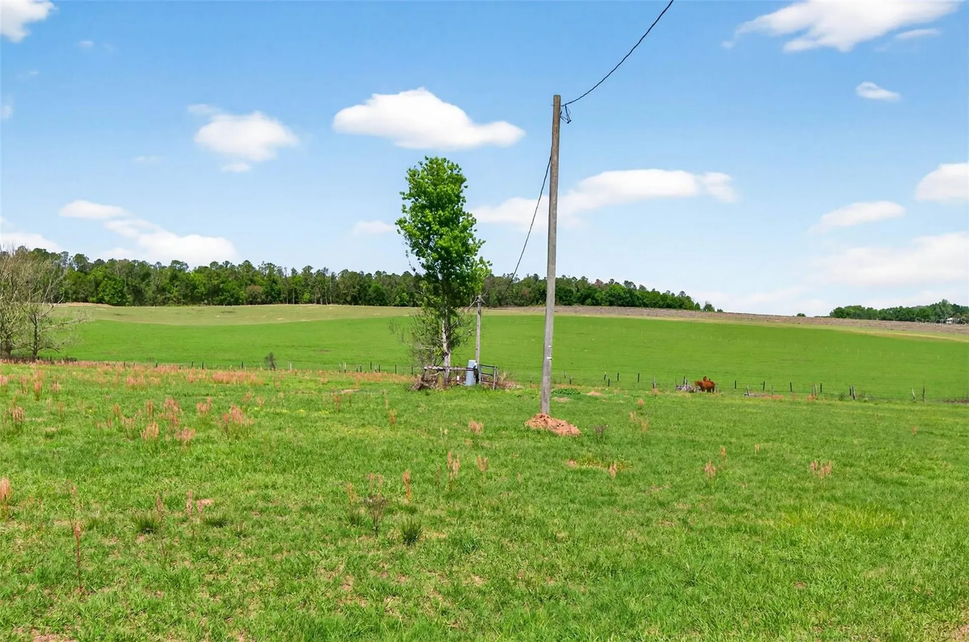 0 Hilltop Horizons Place Dade City FL 33523