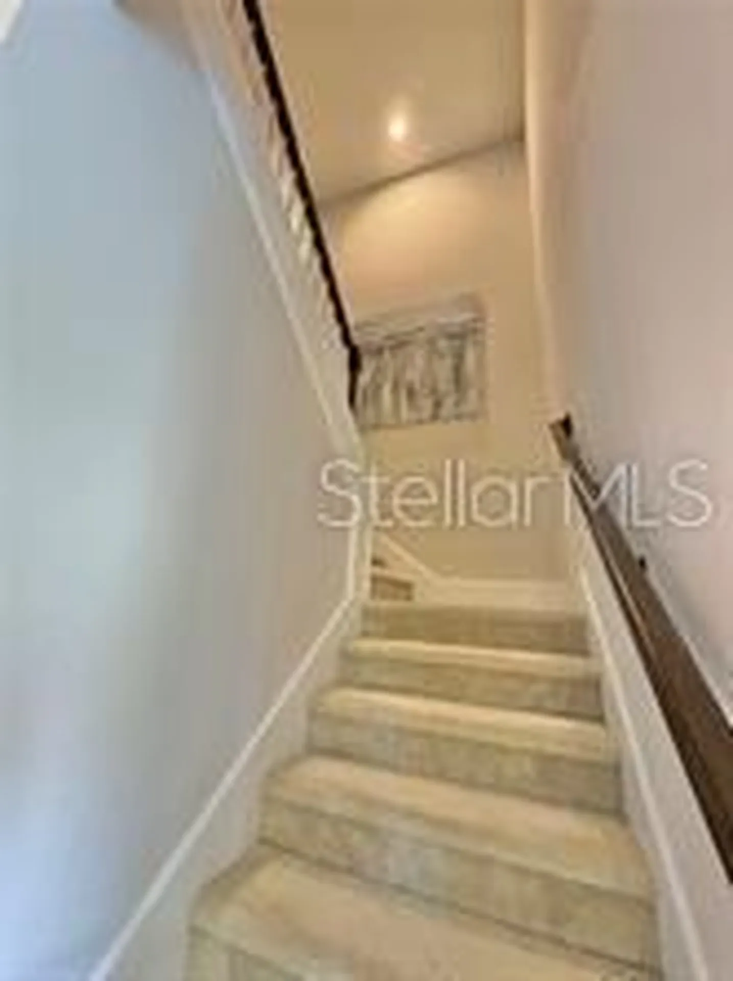 15155 Canoe Place Winter Garden FL 34787