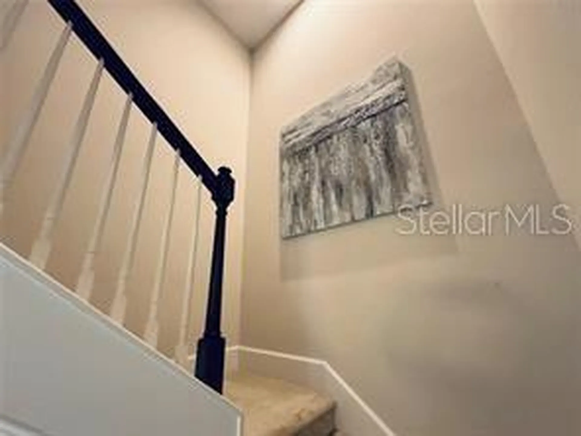 15155 Canoe Place Winter Garden FL 34787