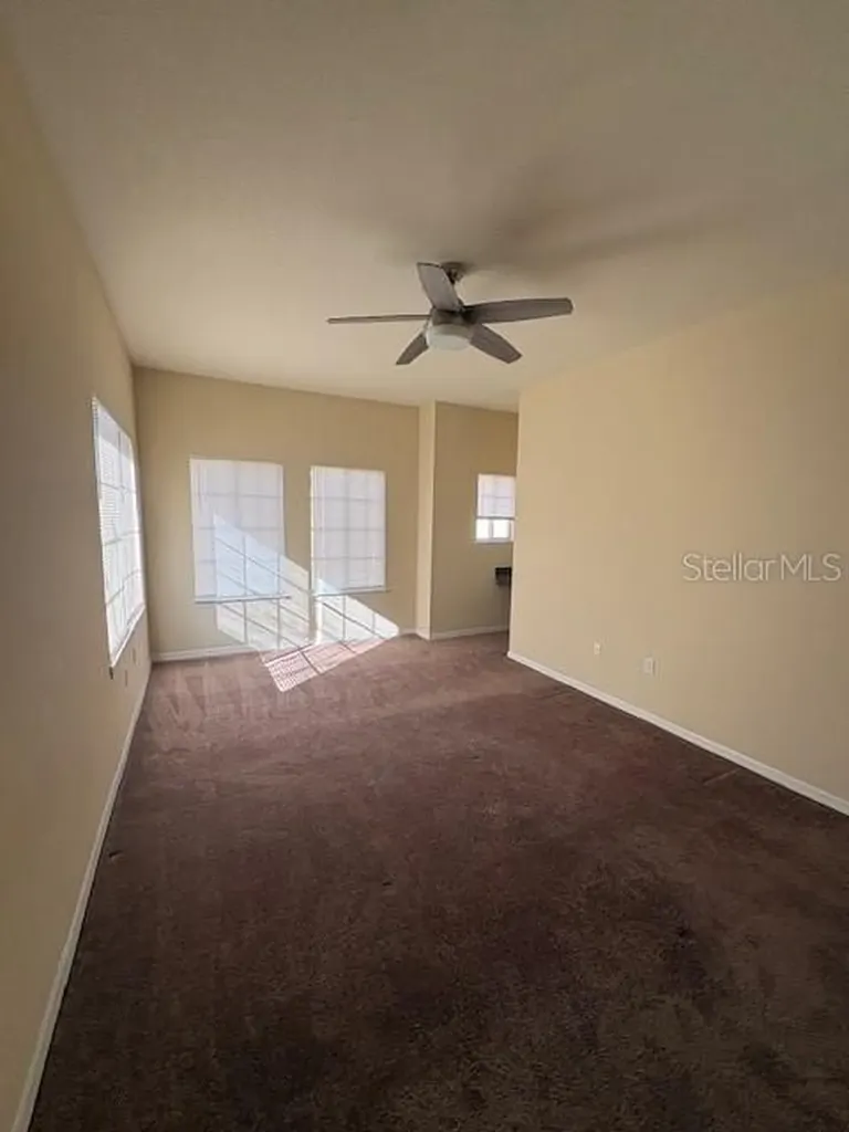 Tampa FL 33609