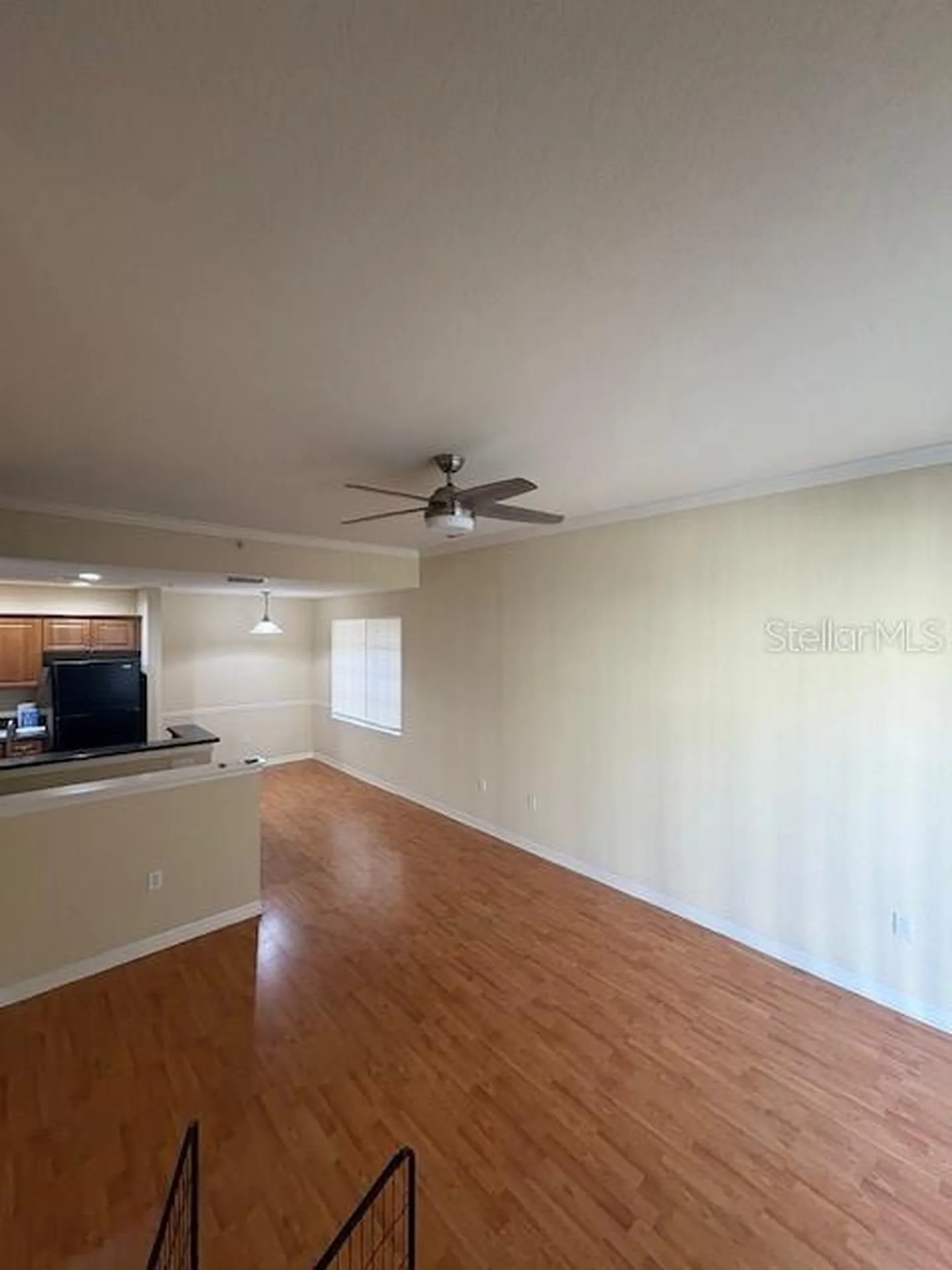 Tampa FL 33609