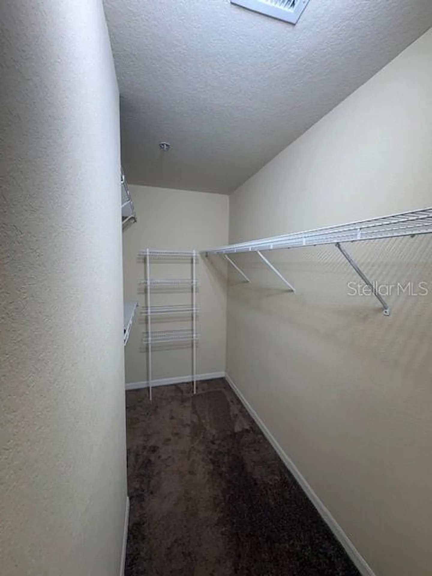 Tampa FL 33609