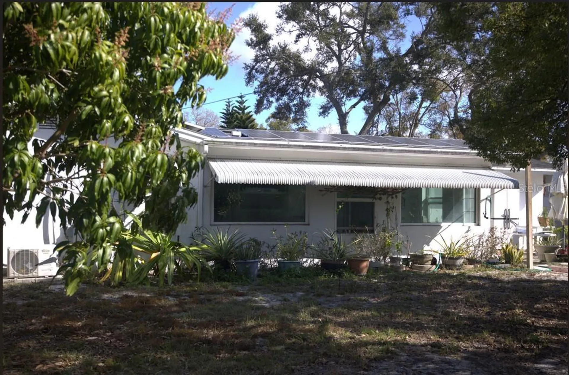 1158 Overcash Drive Dunedin FL 34698
