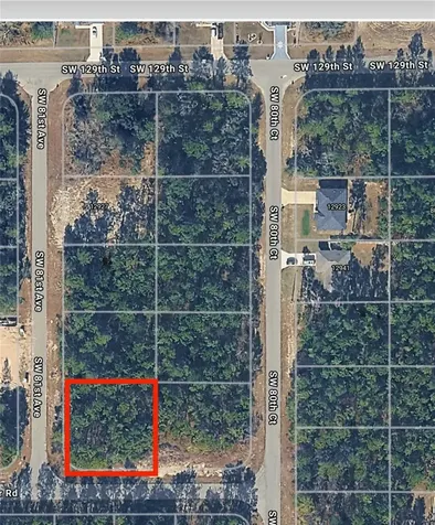 SW 81st Avenue Ocala FL 34476