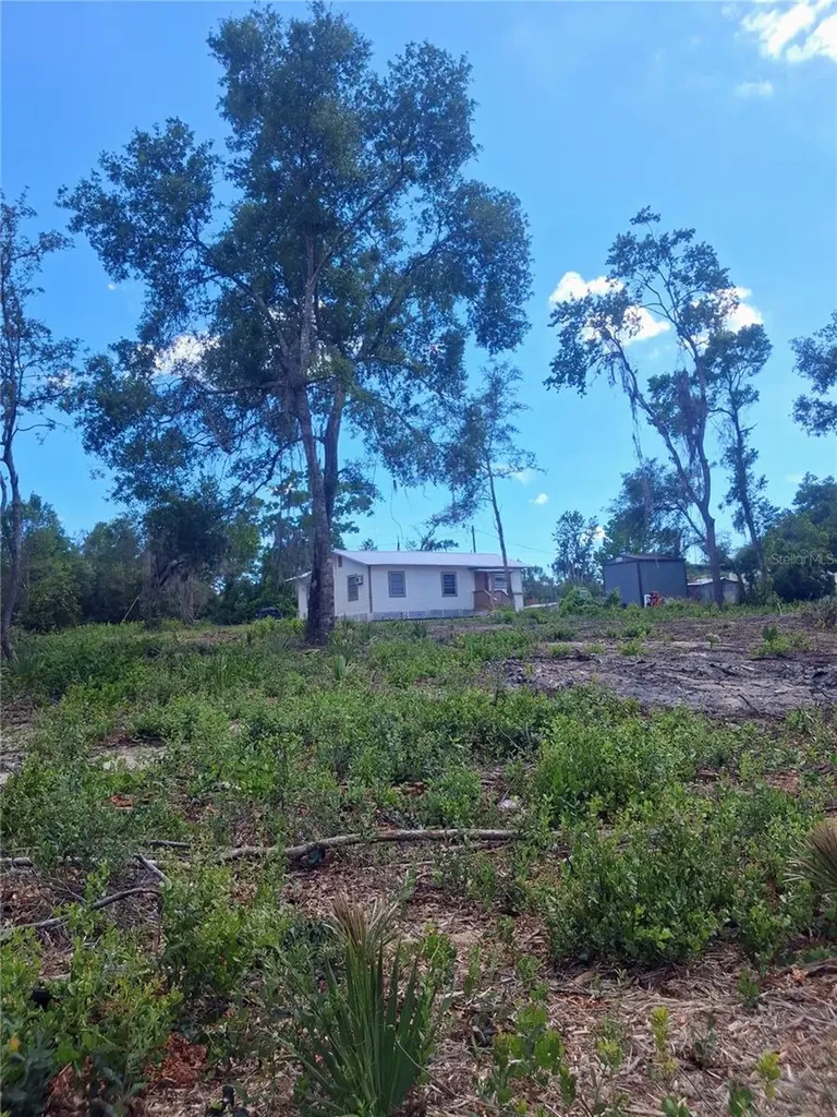 20881 SE 142nd Place Umatilla FL 32784