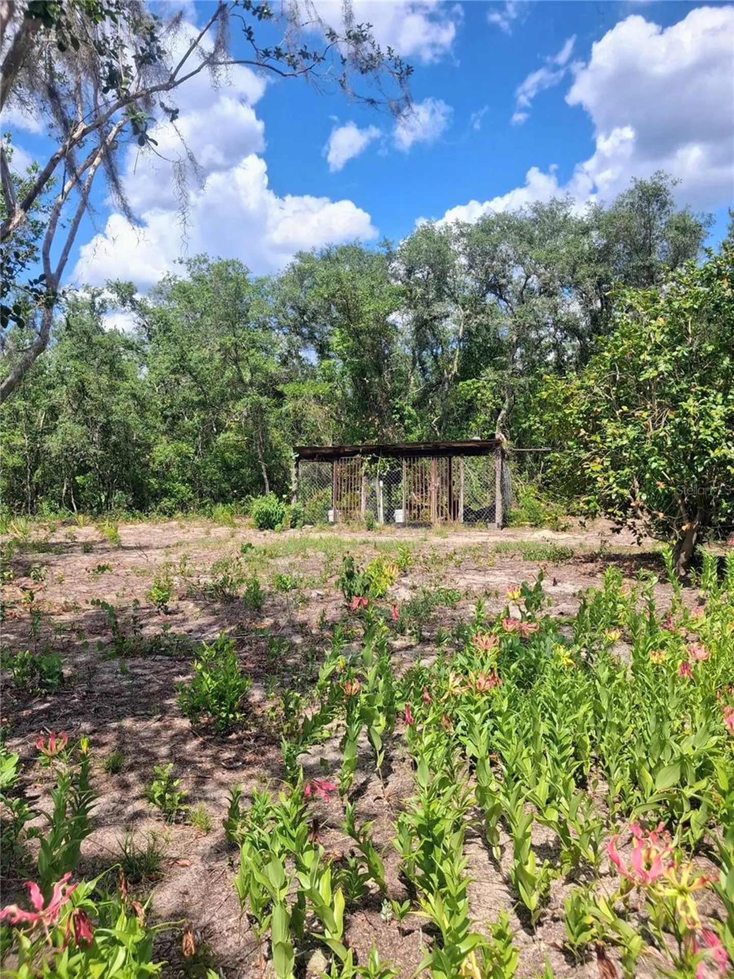 20881 SE 142nd Place Umatilla FL 32784