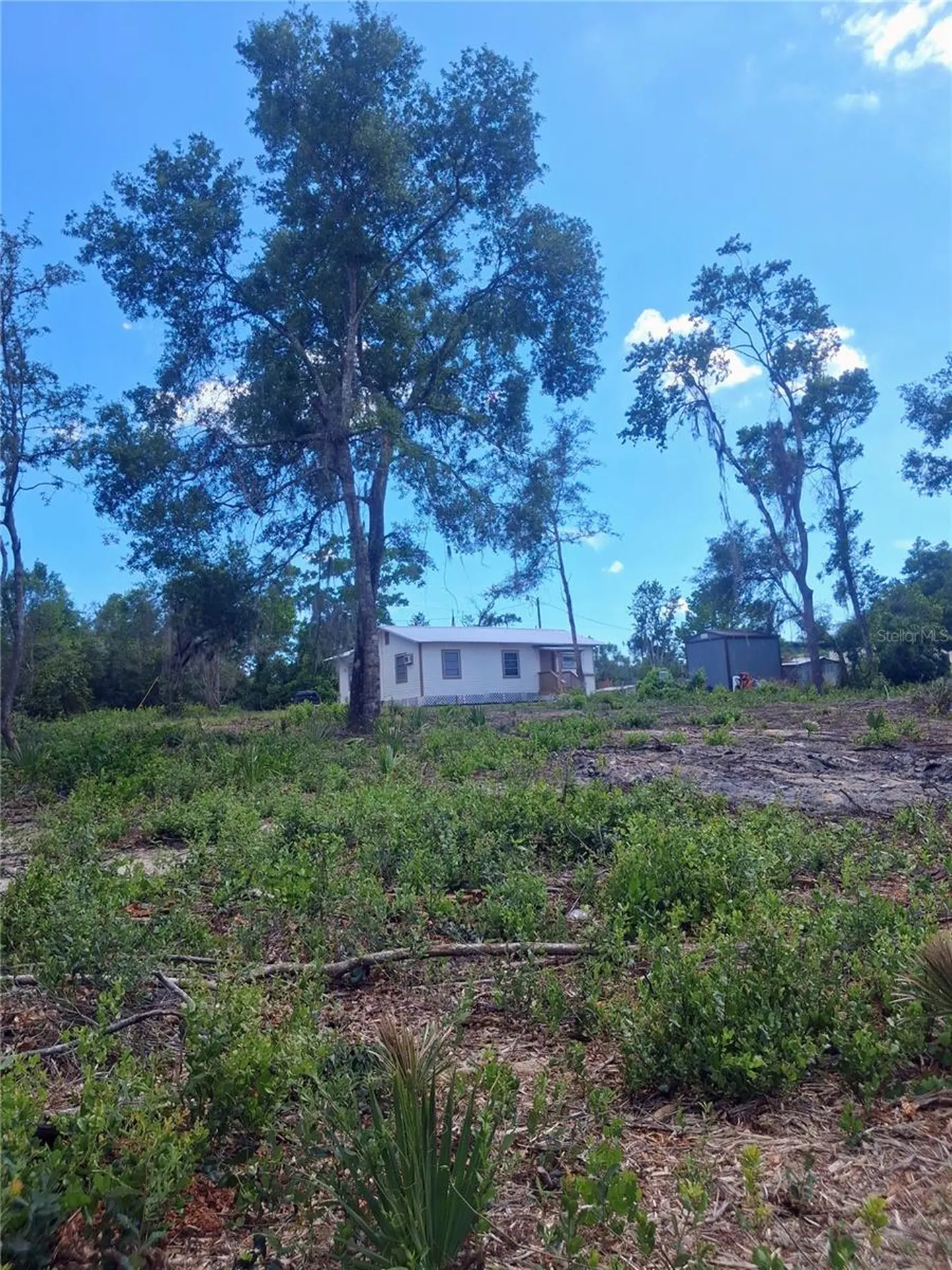20881 SE 142nd Place Umatilla FL 32784