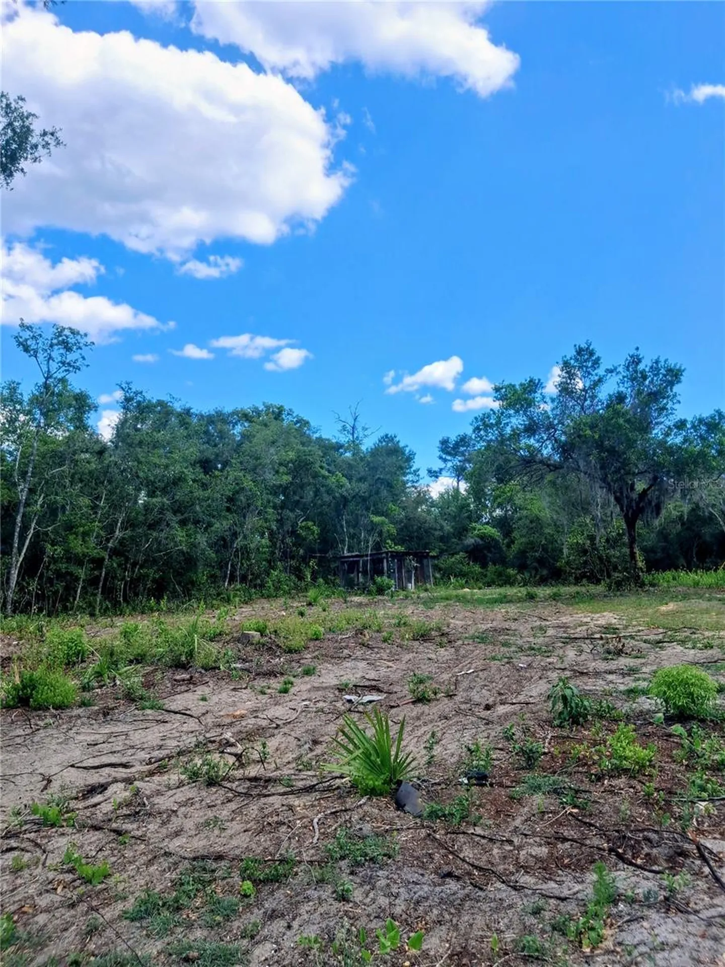 20881 SE 142nd Place Umatilla FL 32784