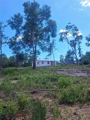 20881 SE 142nd Place Umatilla FL 32784