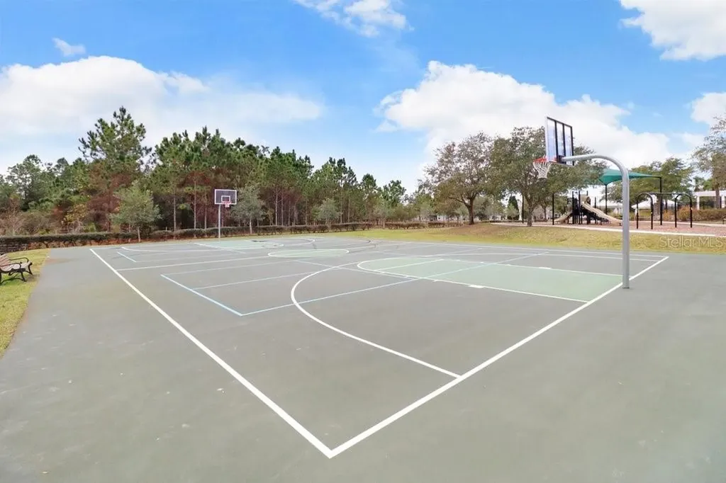 6431 Bradford Hill Court Wesley Chapel FL 33545