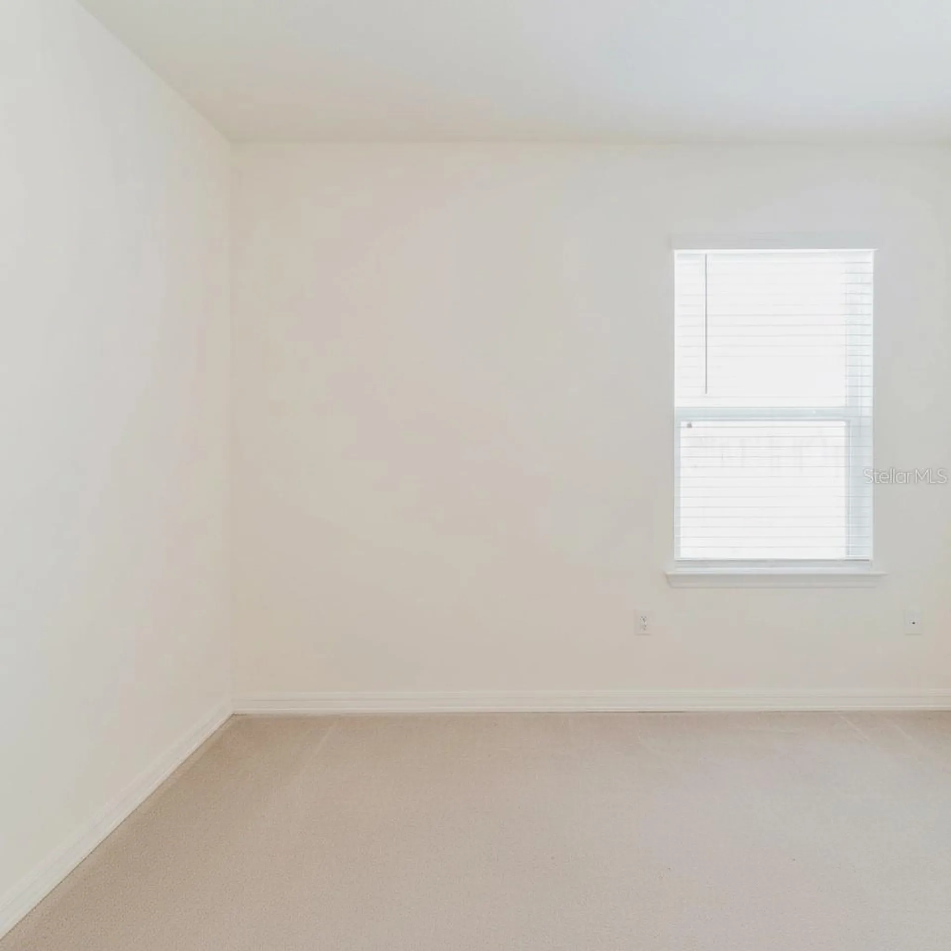 2812 Gumbo Limbo Drive Wimauma FL 33598