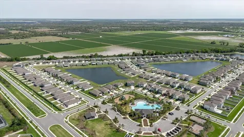 2812 Gumbo Limbo Drive Wimauma FL 33598