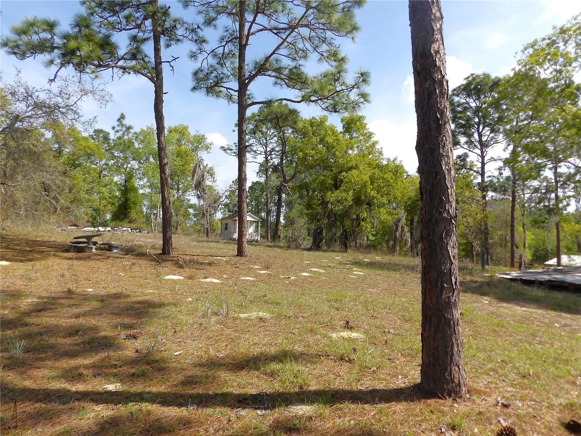 2515 E Hampshire Street Inverness FL 34453