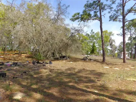 2515 E Hampshire Street Inverness FL 34453