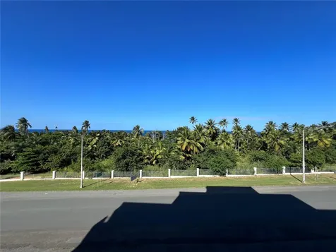 . Olivine Street Vega Alta PR 00692