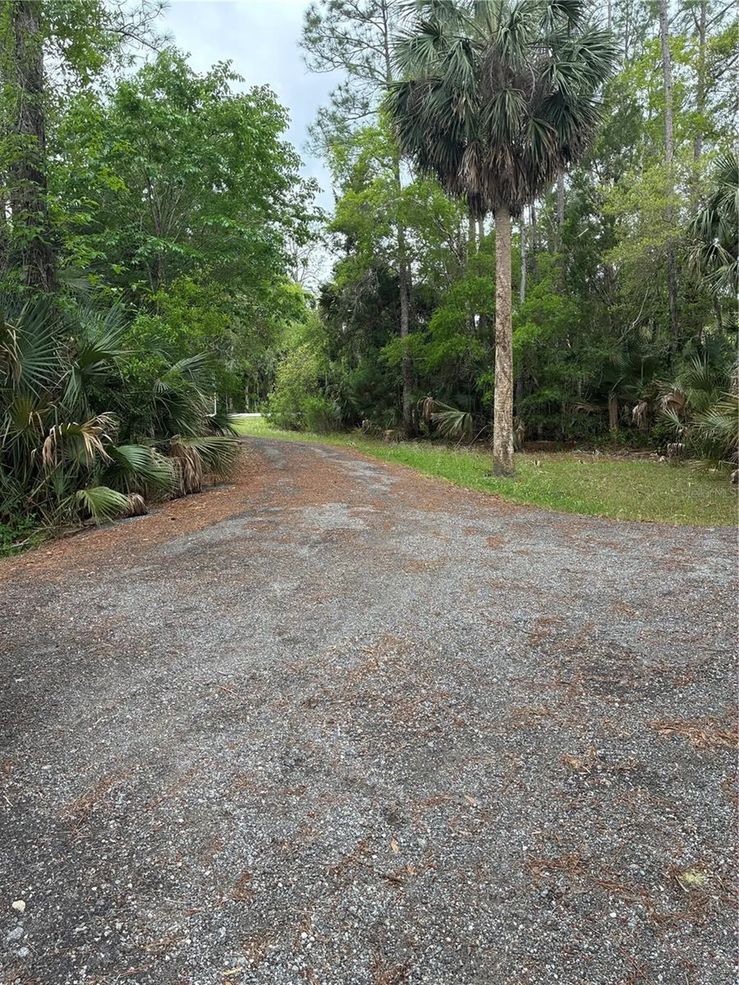 3150 W Cr 2006 Bunnell FL 32110
