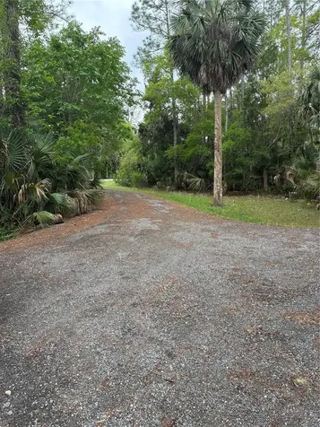 3150 W Cr 2006 Bunnell FL 32110