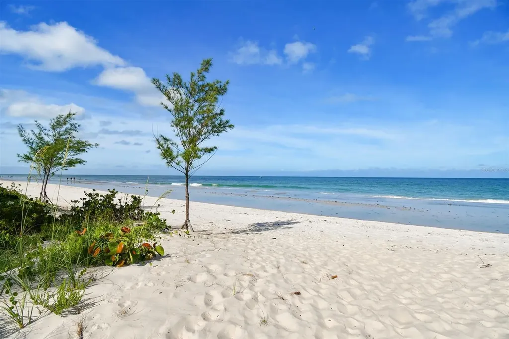 20204 Gulf Boulevard Indian Shores FL 33785