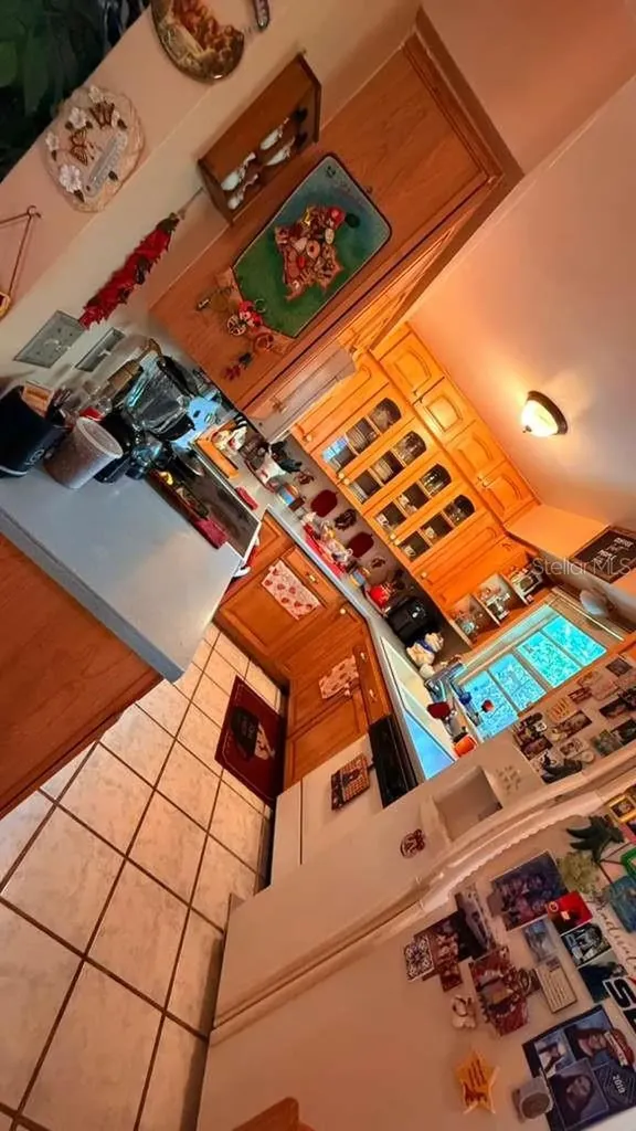 1111 Bristolwood Street Brandon FL 33510
