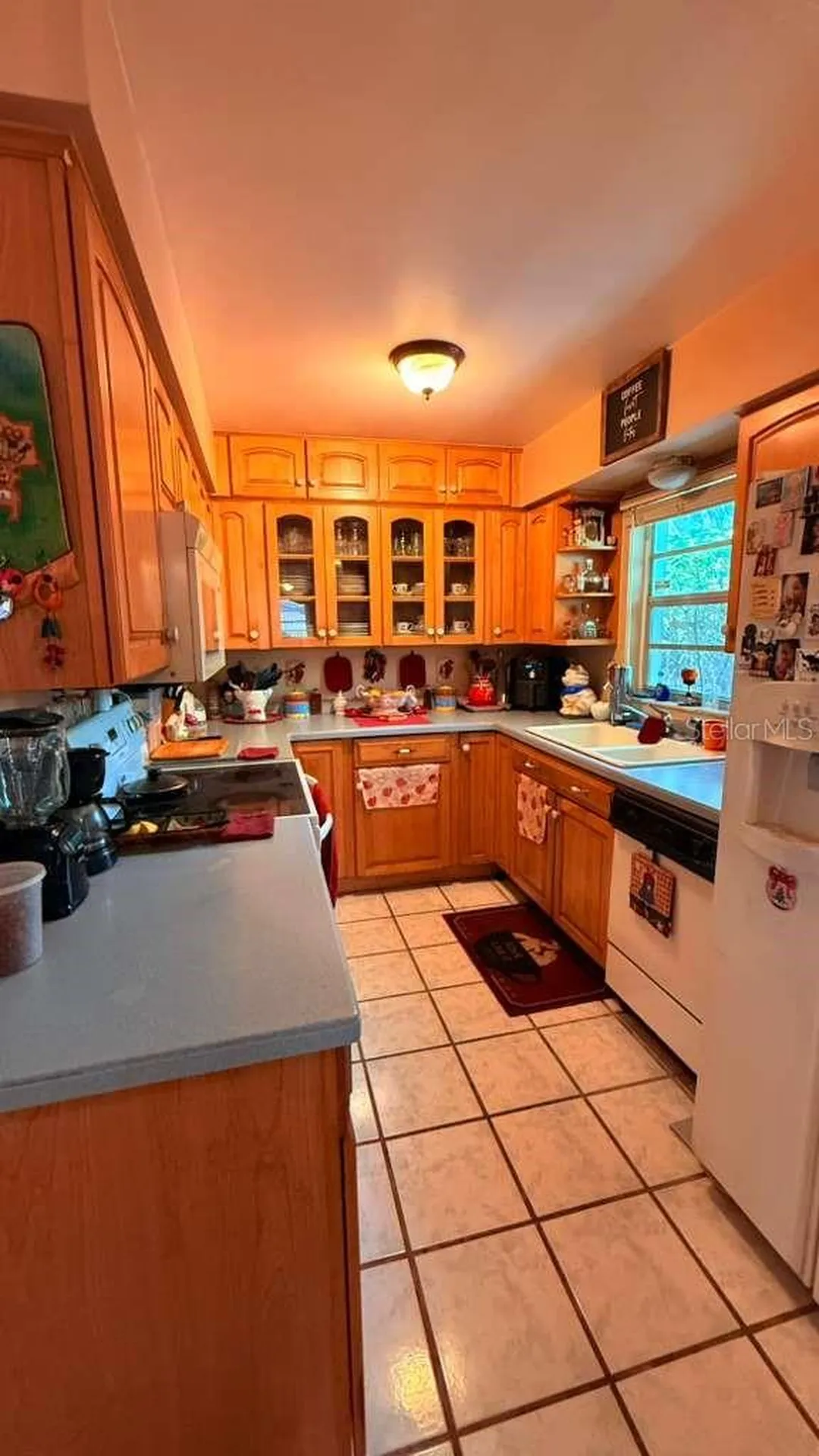 1111 Bristolwood Street Brandon FL 33510