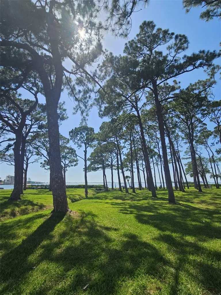 2700 Bayshore Boulevard Dunedin FL 34698