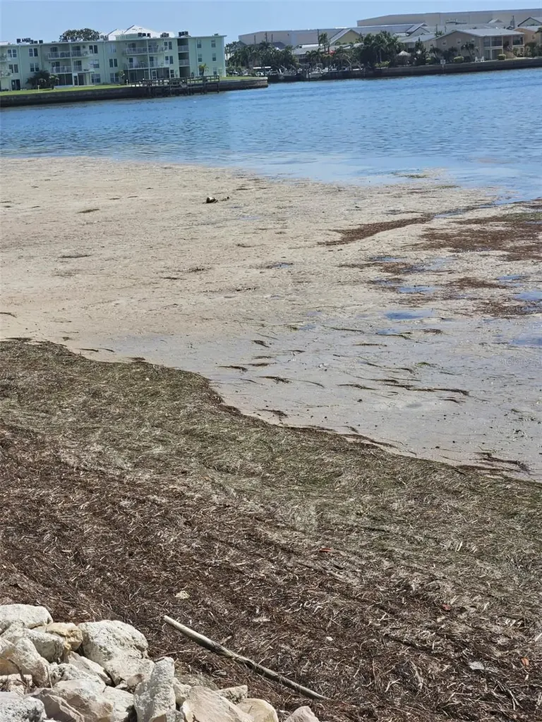 2700 Bayshore Boulevard Dunedin FL 34698