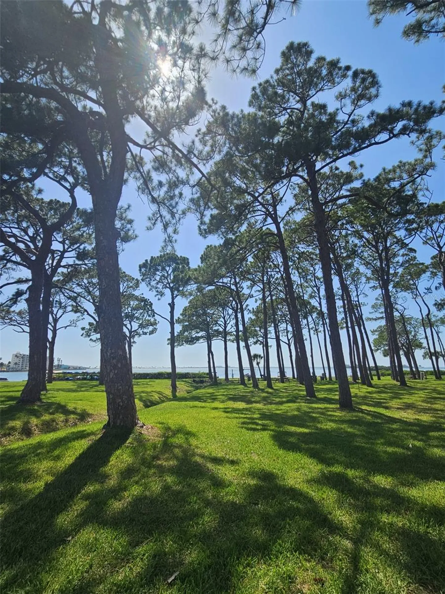 2700 Bayshore Boulevard Dunedin FL 34698
