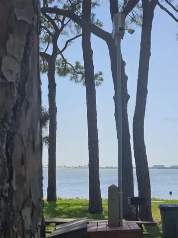 2700 Bayshore Boulevard Dunedin FL 34698