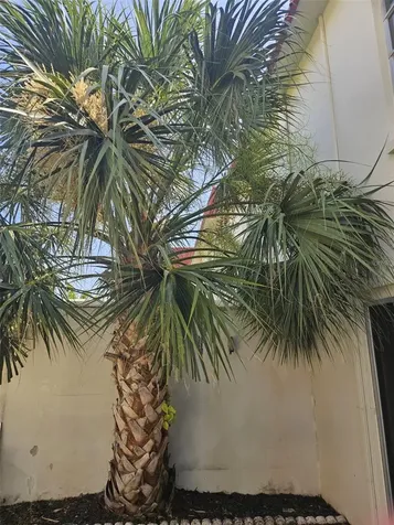 2700 Bayshore Boulevard Dunedin FL 34698