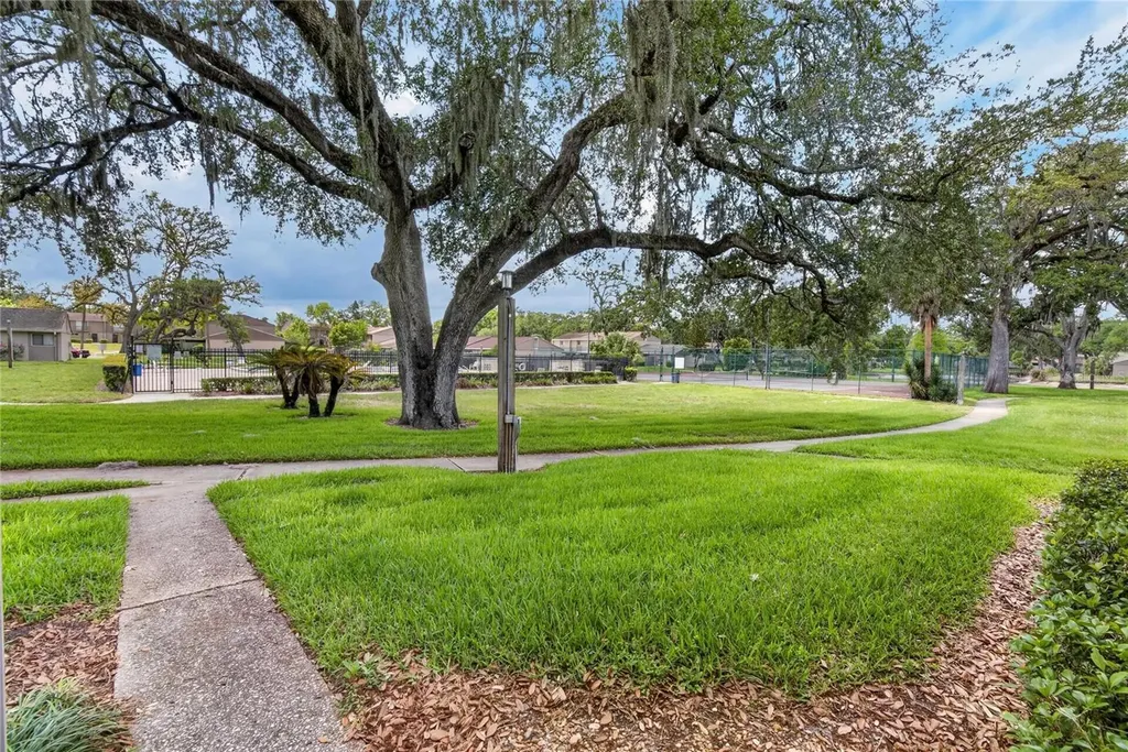 7933 Pine Drive Temple Terrace FL 33637
